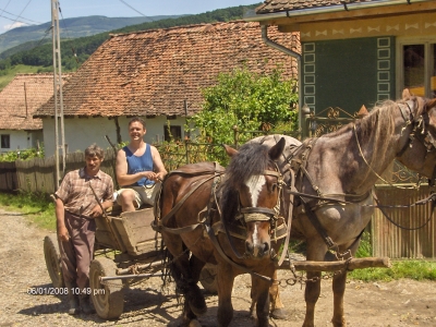 Foto uit het fotoalbum: klus reis Albeda 2008